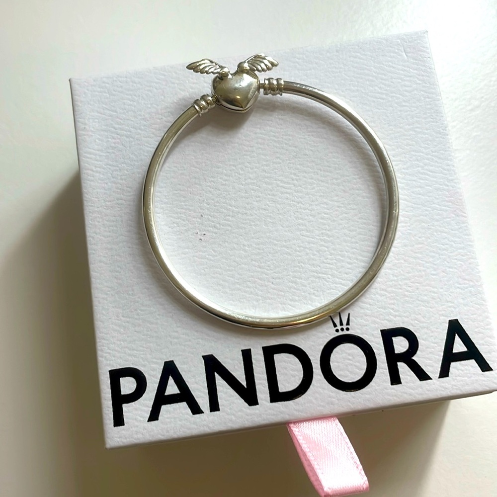 Pandora Bracelet new